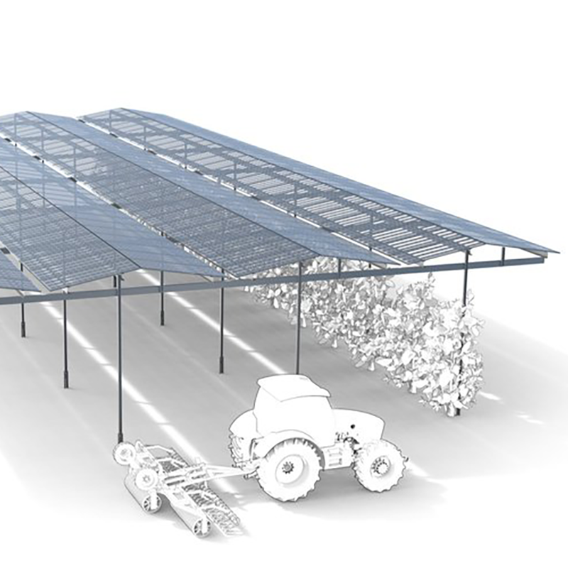AGri-PV-ANlage
