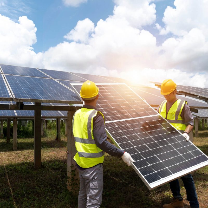 Agar-Solar-Farmen – mit bodenschonender Technik schnell erstellt.